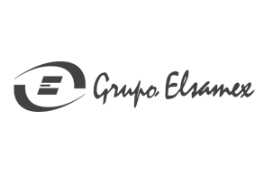 Grupo ELSAMEX